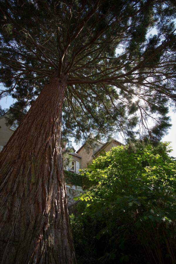 Le Fassardy Bed & Breakfast Chateauroux Exterior photo